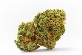 Sour Diesel